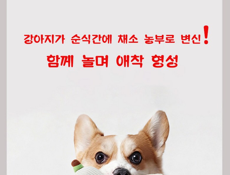 5c90caffe3ed1fe950e623acfebccd5f_1787905271_3903.jpg